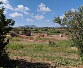 Terreno in Contrada Arnao
