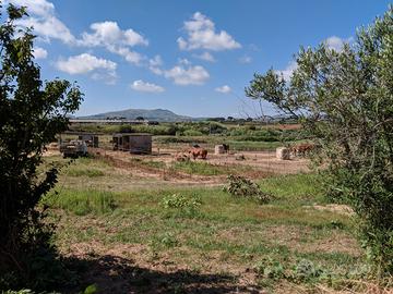 Terreno in Contrada Arnao