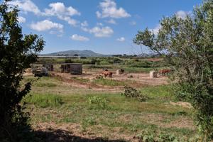 Terreno in Contrada Arnao