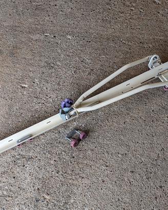 porta bicicletta per auto usato