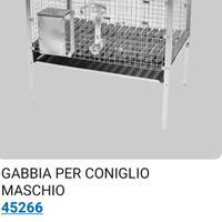 gabbia