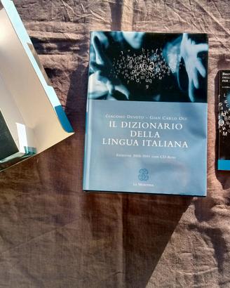 Grande dizionario lingua italiana perfetto, no CD