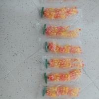 Piante finte per acquario