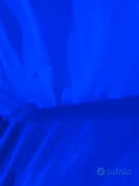 Led Aurora boreale per casa 