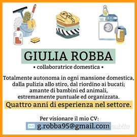 Collaboratrice domestica con esperienza 