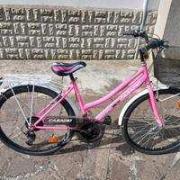 Bicicletta  Casadei