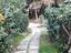 Immagine 11