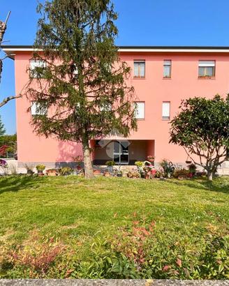 3 LOCALI A MOLINELLA