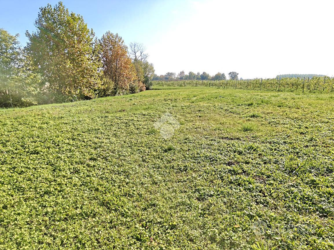 TER. RESIDENZIALE A GAIARINE - Vista 3