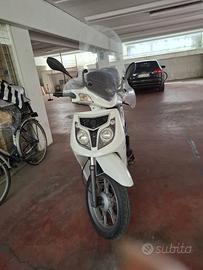 Scoter usato