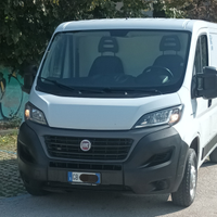 Fiat Ducato Frigo