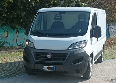 Fiat Ducato Frigo