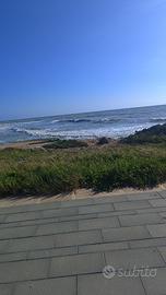 Appartamento o Casa ricercato