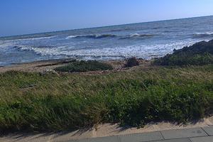 Appartamento o Casa ricercato