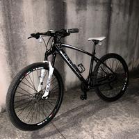 MTB Olympia Bull 29’