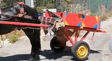 Carretto per puledri