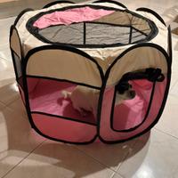 recinto pieghevole per cani + borsa