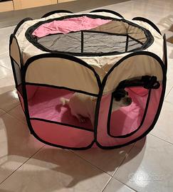 recinto pieghevole per cani + borsa