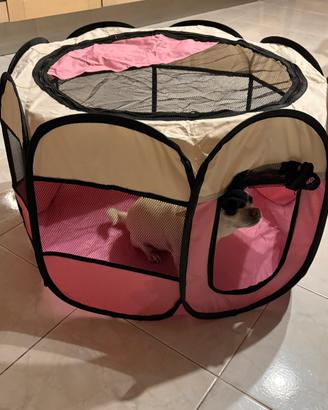 recinto pieghevole per cani + borsa