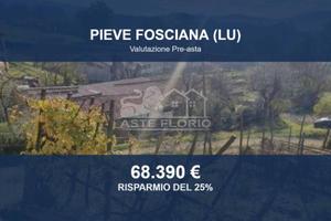Immobile in asta di 174275 m² a Pieve Fosciana