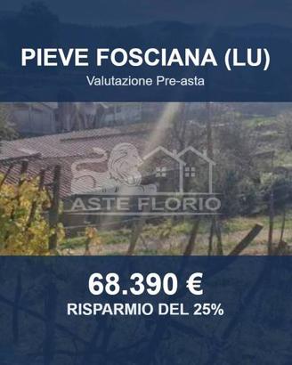 Immobile in asta di 174275 m² a Pieve Fosciana
