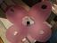 Immagine 1