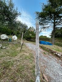 Gestione a titolo gratuito di un terreno a gallucc