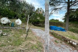 Gestione a titolo gratuito di un terreno a gallucc