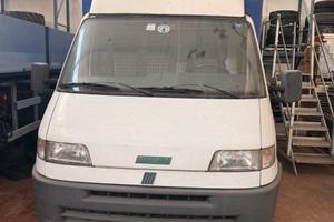 Fiat ducato telonato