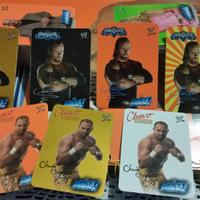 Carte SmackDown Fluo Card Super Oro Argento Album