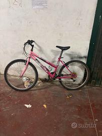 bicicletta