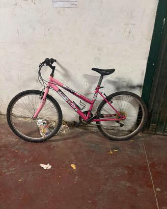 bicicletta