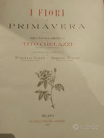 Quattro volumi I fiori 1892 Chelazzi Ferraguti