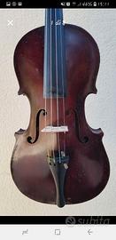 Violino Rosso