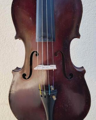 Violino Rosso