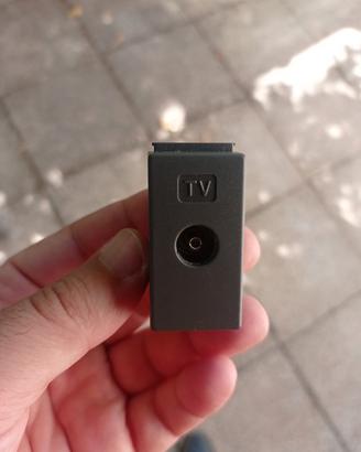 Presa TV Ergo legrand 