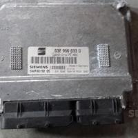 Centralina Seat Ibiza Siemens