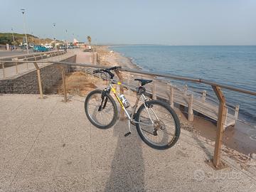 Bicicletta Bianchi MTB