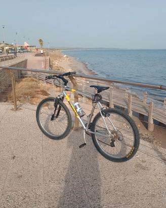 Bicicletta Bianchi MTB