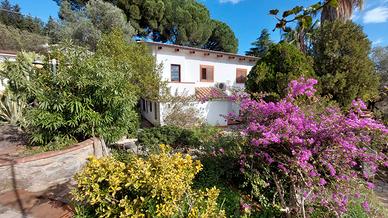 Copanello Alto Villa autonoma con parco vista mare