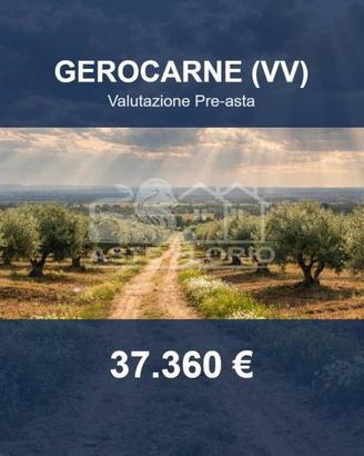 Immobile in asta di 126670 m² a Gerocarne