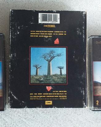 Musicassetta doppia rara Pink Floyd
