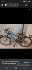 Bici ragazzo Btwin