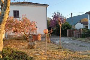 Casa indipendente
