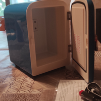 Frigorifero portatile da auto