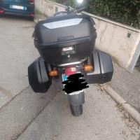 Borse BMW R 1150 GS 