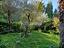 Immagine 15
