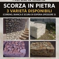 pietre regolari da rivestimento