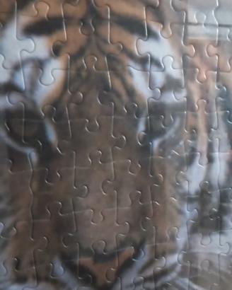 Puzzle in Cornice 