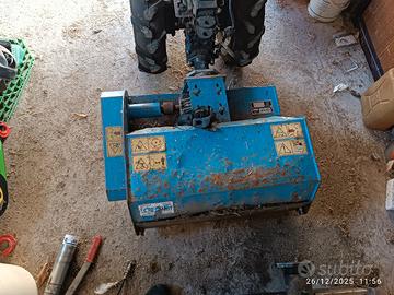 martellante lorenzati 